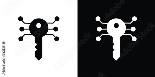 Digital key icon symbol. simple design editable.