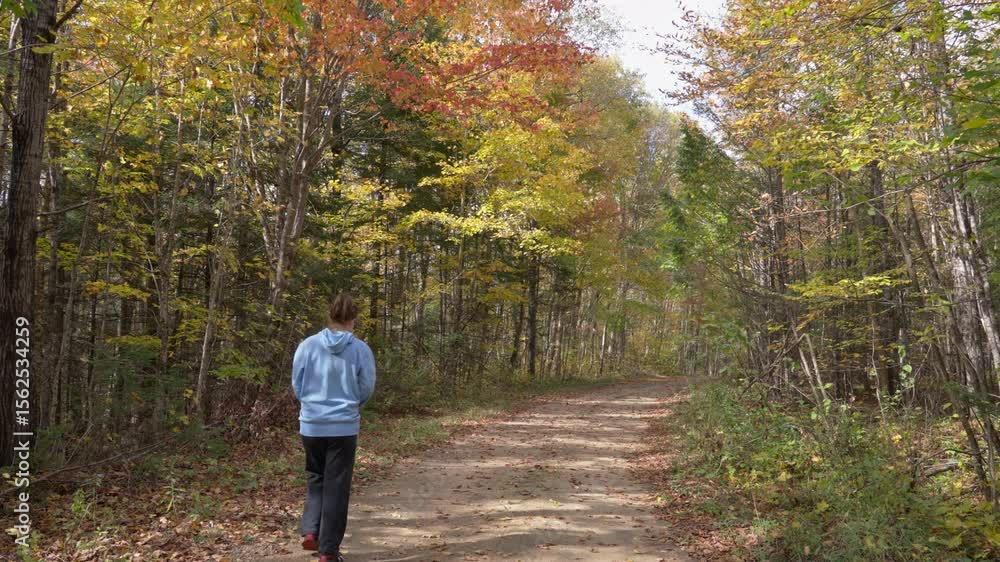 Quiet autumn stroll through colorful woods by young woman Quiet autumn stroll through colorful woods by young woman