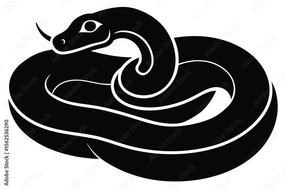 Fototapeta premium black and white snake