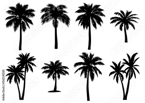 Set of 9 minimal vector palm tree silhouettes in various shapes. Centered and isolated on transparent background with no ground or soil. Ideal for tropical, summer, and clean design compositions.
