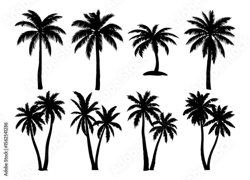 Set of 9 minimal vector palm tree silhouettes in various shapes. Centered and isolated on transparent background with no ground or soil. Ideal for tropical, summer, and clean design compositions.