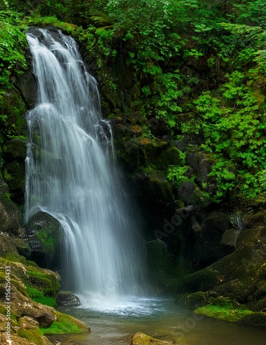 Sol Duk waterfalls in a canyon with fern plants on the walls. Olympic National Park. WA. USA