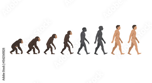 Illustrating the Journey of Human Evolution from Primate Ancestors to Modern Day Homo Sapiens Across a Timeline Representing Biological Adaptation and Development