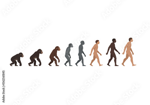 The Journey of Human Evolution From Primates to Modern People Illustrating the Gradual Progression of Development Over Time