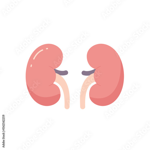 Understanding the Vital Role of Healthy Kidneys in Maintaining Overall Bodily Function and Promoting Well-being Through Effective Lifestyle Choices and Preventative Healthcare Strategies
