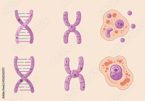 Visual Representation of Genetic Material DNA Chromosomes and Cellular Structures Illustrating Biological Science Concepts
