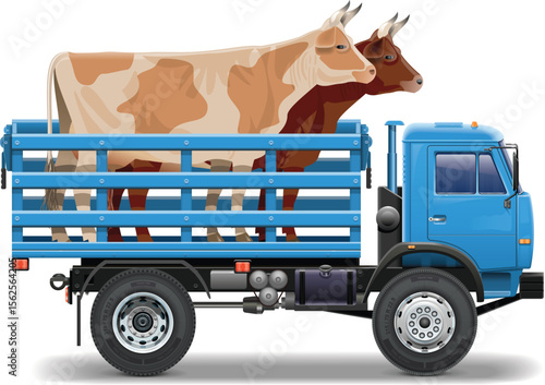 Cows Transported in Blue Truck – Vector Illustration
