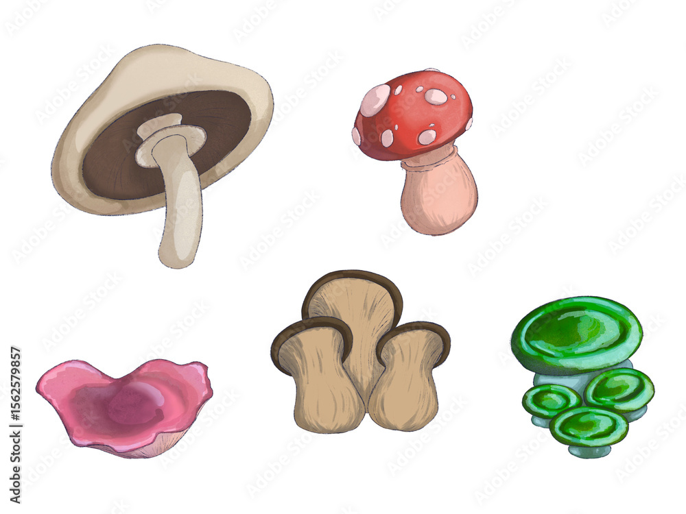 Fototapeta premium mushrooms