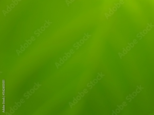 Fresh green gradient background with soft blur and natural feel. Perfect for eco themes, wellness, digital design, nature concepts, or organic branding visuals.
