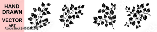 Elegant hand drawn botanical branch with leaves vector illustration, floral nature silhouette design perfect for prints, packaging, stickers, digital and craft projects.