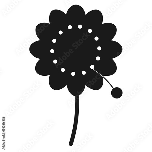 Pincushion Flower on white background