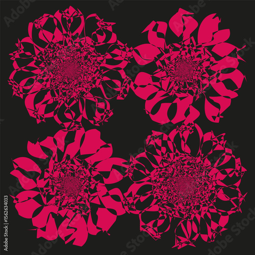 Quadruplicate floral ornament. Magenta chrysanthemum symbol. Brilliant blossom Vector. Velvety nocturnal composition.