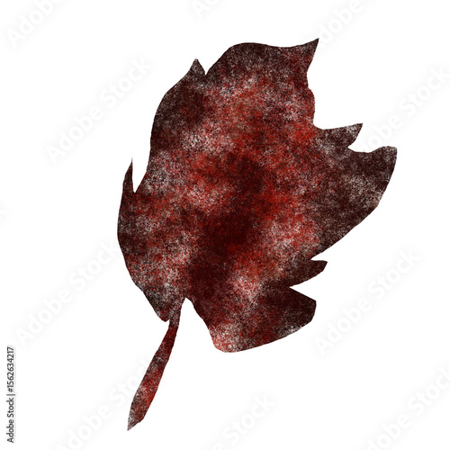 red maple leaf autumn season fall illustration png