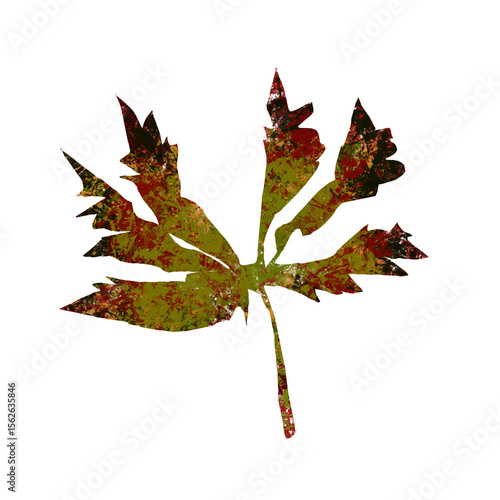 Maple leaf fall season png autumn png