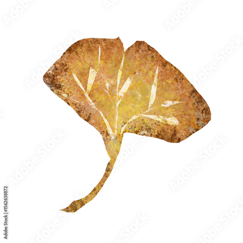 Ginko maple leaf png illustration fall autumn season