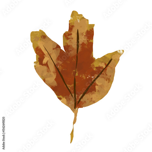 autumn maple leaf fall illustration png