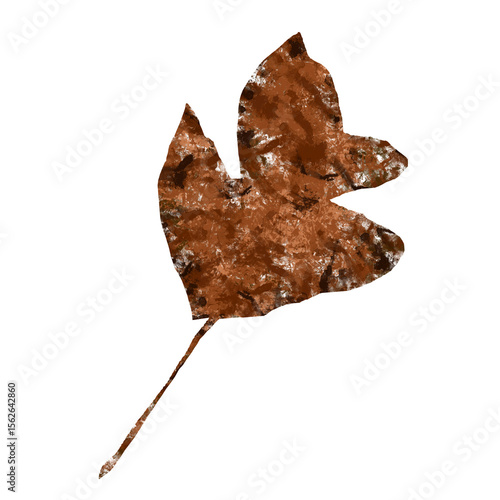 autumn leaf isolated on white background fall illustration 