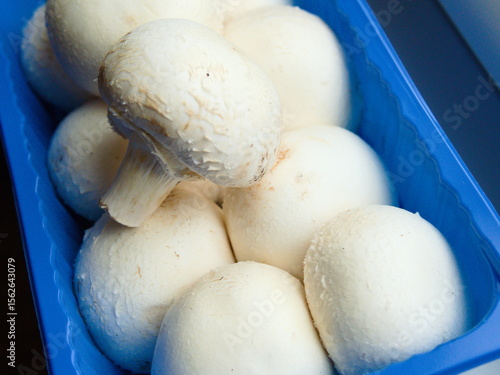 Large white mushrooms in a blue package