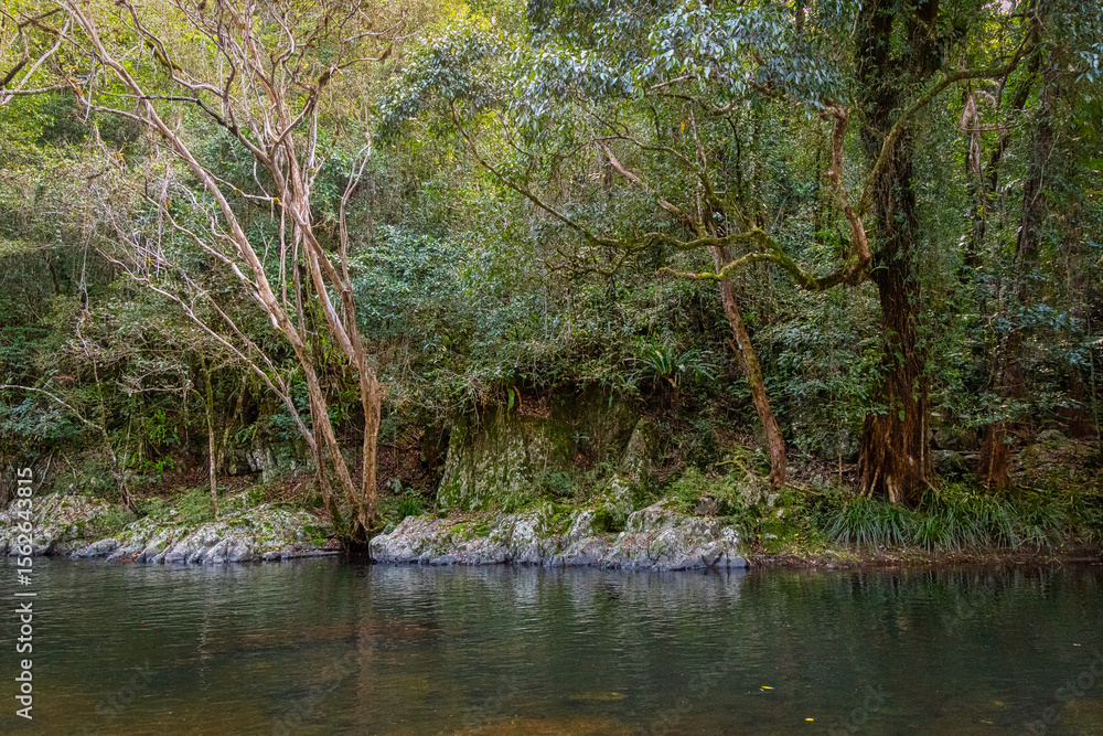 Crystal Cascades is a freshwater creek. The area features numerous cascade waterfalls and swimming holes in a rainforest habitat Crystal Cascades is a freshwater creek. The area features numerous cascade waterfalls and swimming holes in a rainforest habitat