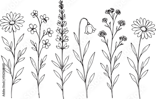 Illustration of six stylized flowers arranged in a row, each with distinct features. 