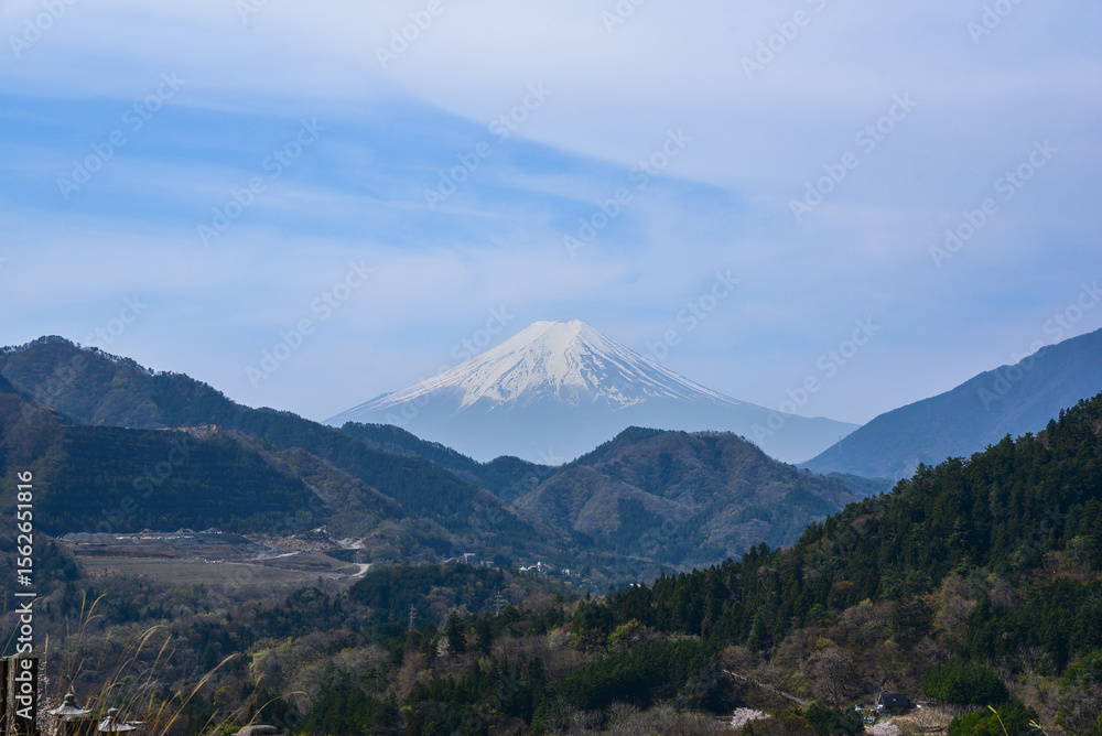 Fototapeta premium お伊勢山から見る富士山