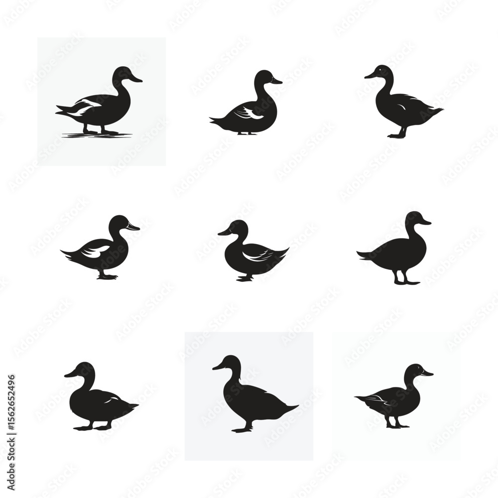 Obraz premium A set of Duck silhouettes perfect for wildlife vector illustrations featuring ducks, doves, and other birds in flight
