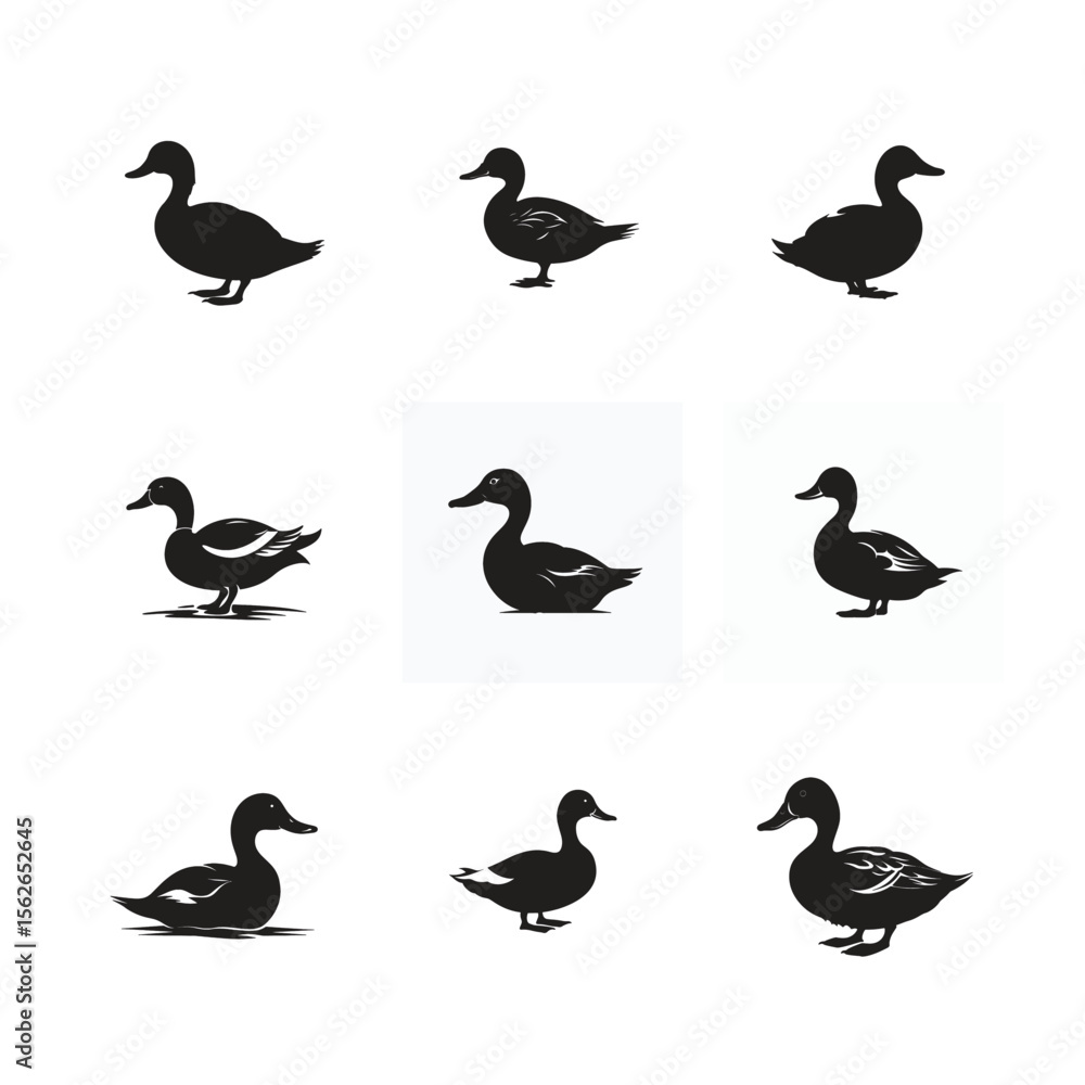 Set of Duck Silhouettes in Various Flying and Standing Poses Vector Illustration Set of Duck Silhouettes in Various Flying and Standing Poses Vector Illustration