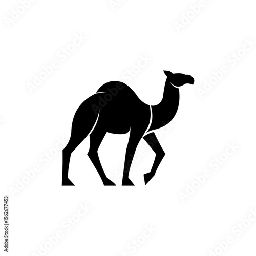 camel 