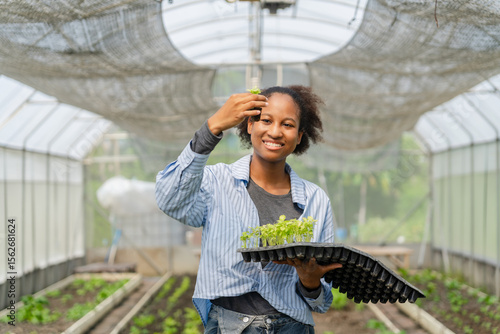 A young black woman is working in a greenhouse, holding trays of seedlings to grow and care for greens. Farmers and students involved in sustainable agriculture.