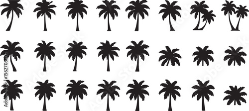 Set of  Unique Palm Tree Silhouettes – Tropical Vector Collection
