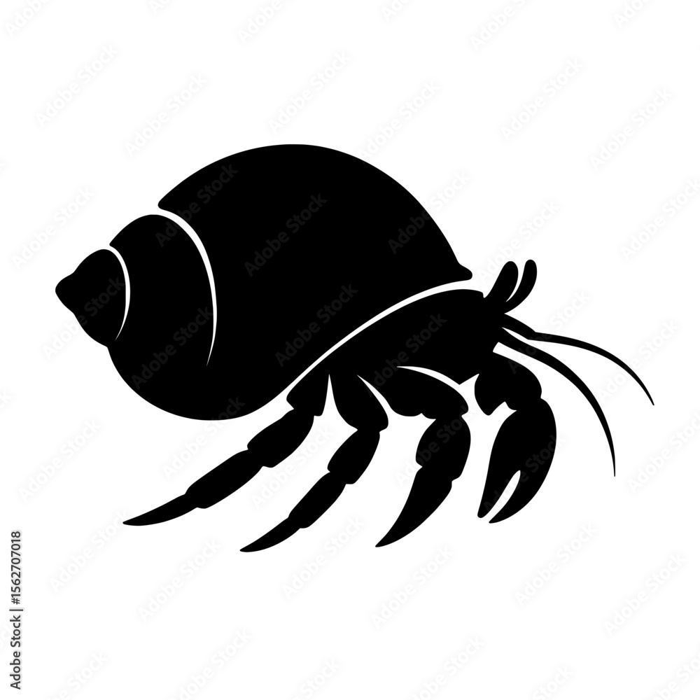 Fototapeta premium Detailed Silhouette of a Hermit Crab with Shell and Claws