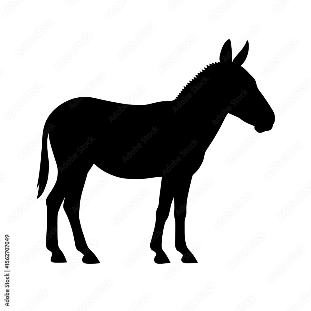 Fototapeta premium Silhouette of Onager with Defined Ears and Mane Against White Background