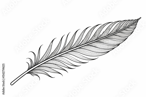 Detailed Feather Illustration- Black and White Feather Drawing- Elegant Feather Art- Minimalist Feather Design- Perfect for Crafts and Digital Projects