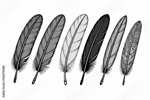 Elegant Black and White Feather Illustration- Detailed Quill Pen Designs for Crafts- Artistic Feather Collection Isolated on White Background