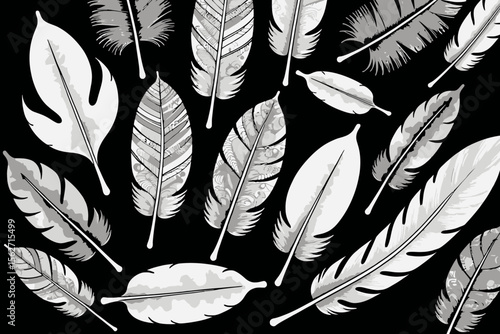 Elegant Black and White Feather Illustration-Detailed Feather Art Design-Feather Pattern Background for Crafts and Design-Artistic Feather Collection