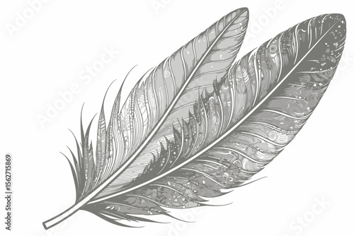 Elegant Feather Illustration- Detailed Black and White Feather Drawing- Ornamental Feather Art for Crafts- Printable Feather Design- Minimalist Nature Art