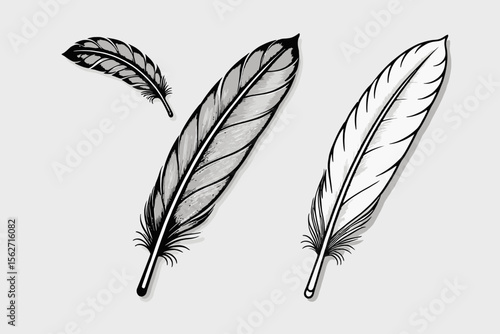 Elegant Feather Illustrations- Black and White Feather Designs- Detailed Feather Graphics for Creative Projects- Minimalist Feather Art