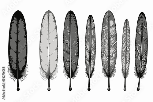 Elegant Feather Illustrations-Monochrome Decorative Feathers-Unique Artistic Feather Designs-Detailed Feather Drawing-Ornate Feather Collection-Black & White Feather Art