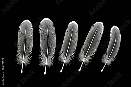 Elegant Feathers on Black Background- Minimalist Design- White Feathers Floating- Delicate Feather Texture- Simple Beauty- Artistic Feather Arrangement- Modern Feather Art