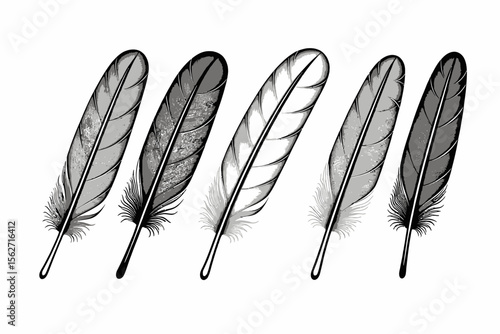 Elegant Feathers-Detailed Black and White Feather Illustration-Artistic Feather Design-Feather Graphic for Creative Projects-Minimalist Feather Pattern-Five Feathers on White Background