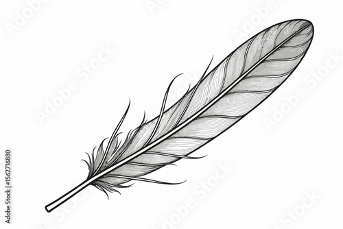 Feather Illustration-Detailed Black and White Drawing-Elegant Feather Design-Simple Feather Outline-Bird Feather Art-Monochrome Feather Graphic-Minimalist Feather Symbol
