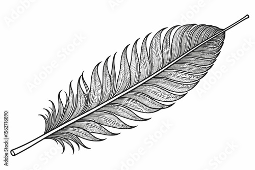 Feather Illustration- Detailed Black and White Drawing of a Quill Pen Feather- Artistic Feather with Intricate Line Work- Perfect for Tattoo Design and Graphic Projects