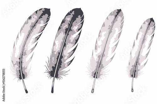 Watercolor Feathers Illustration-Colorful Bird Plumage Art-Detailed Feather Designs-Nature Inspired Artwork-Feather Set for Creative Projects