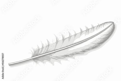 White Feather Illustration on White Background- Delicate Bird Plumage- Artistic Feather Design- Minimalist Feather Image for Creativity and Inspiration