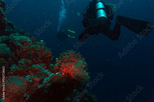Wallpaper Mural coral reef scuba diver in the underwater Torontodigital.ca