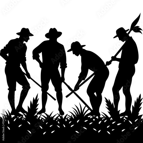 Farmers working in field silhouette  with white background.
