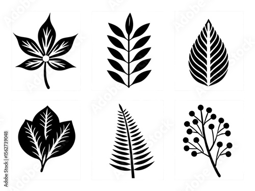 Collection of six stylized black and white botanical illustrations of leaves and berries