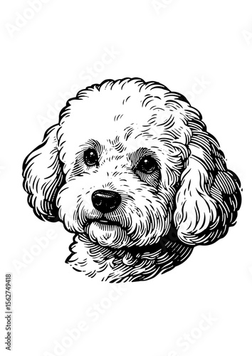 Cute Dog Illustration