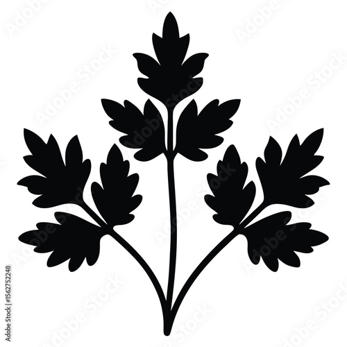 Black and white vector illustration of parsley sprig isolated on a clean white background.