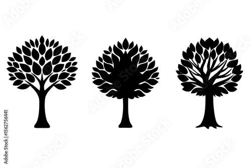 set of Elm tree vector silhouette illustration isolated on white background